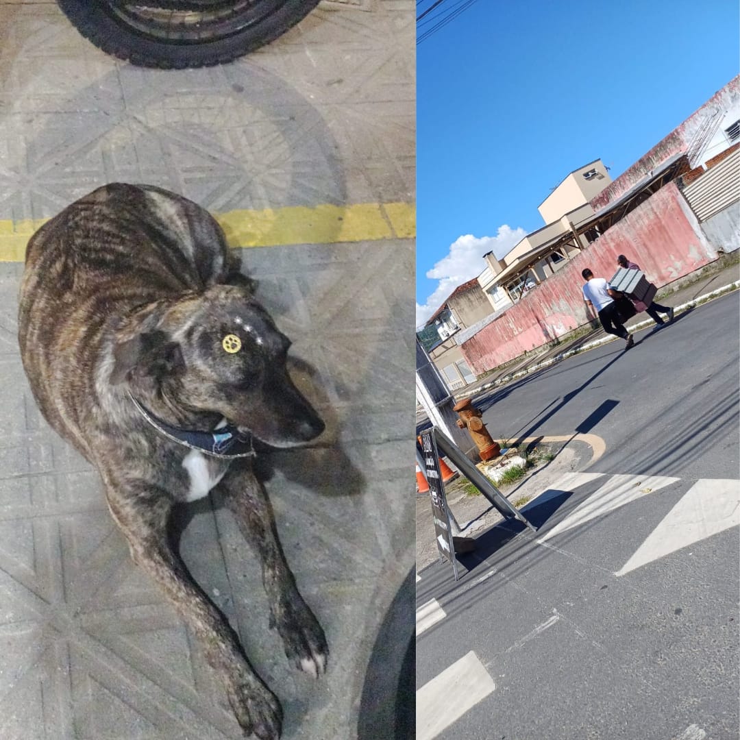 O atributo alt desta imagem está vazio. O nome do arquivo é Cuzco.jpg